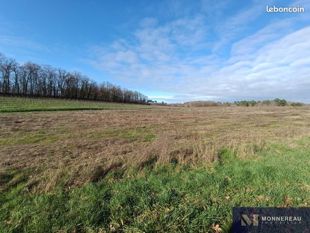 Terrain 978 m² Saint-Maigrin