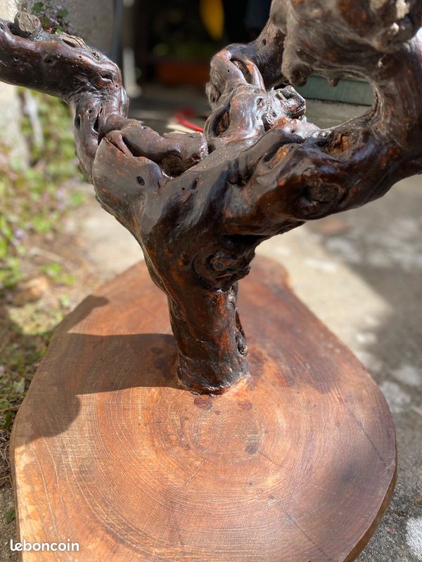 Table pied de vigne (image 5)