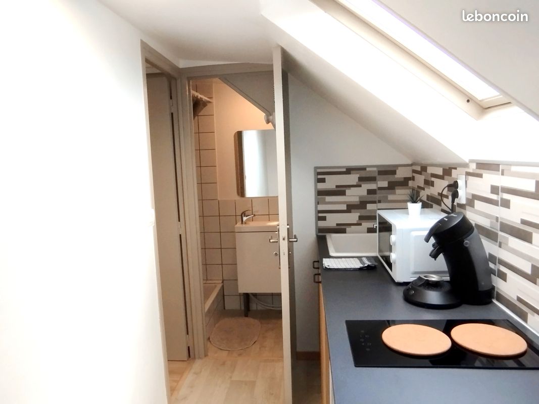 Loue studio entierement meublé et toutes charges incluses - Poitiers 86000 (image principale 2)