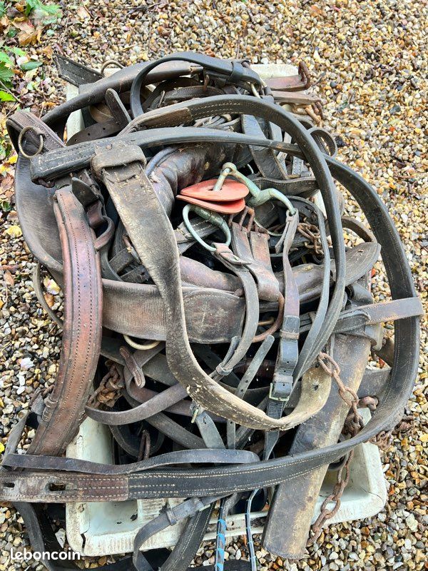 Pièces de cuir en tout genre (image 2)