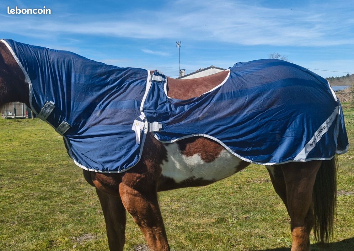 Plaid polaire Couverture imprimée cheval pour canapé ou lit – Chevaux Passion
