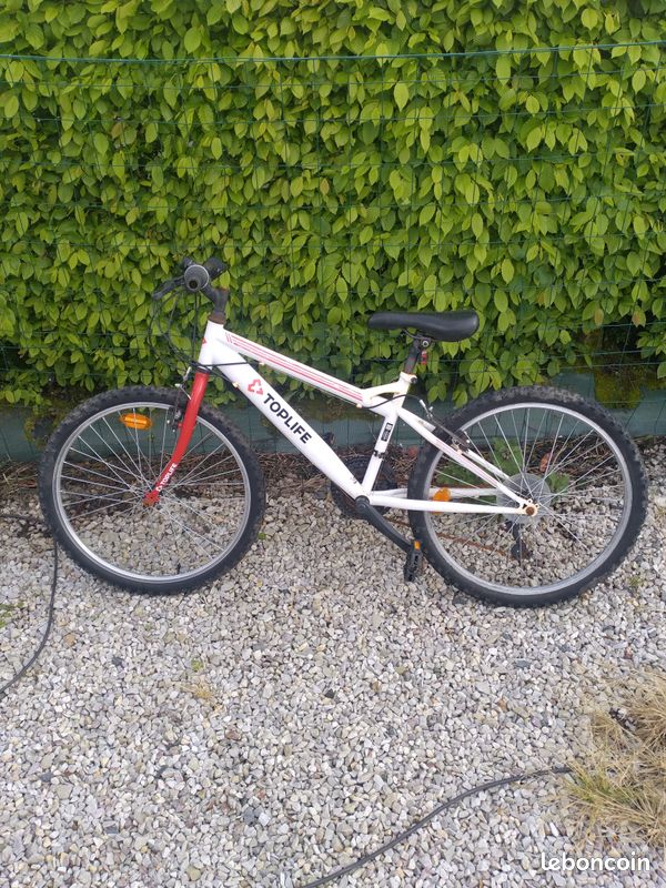Vélo 24 pouces (image 1)