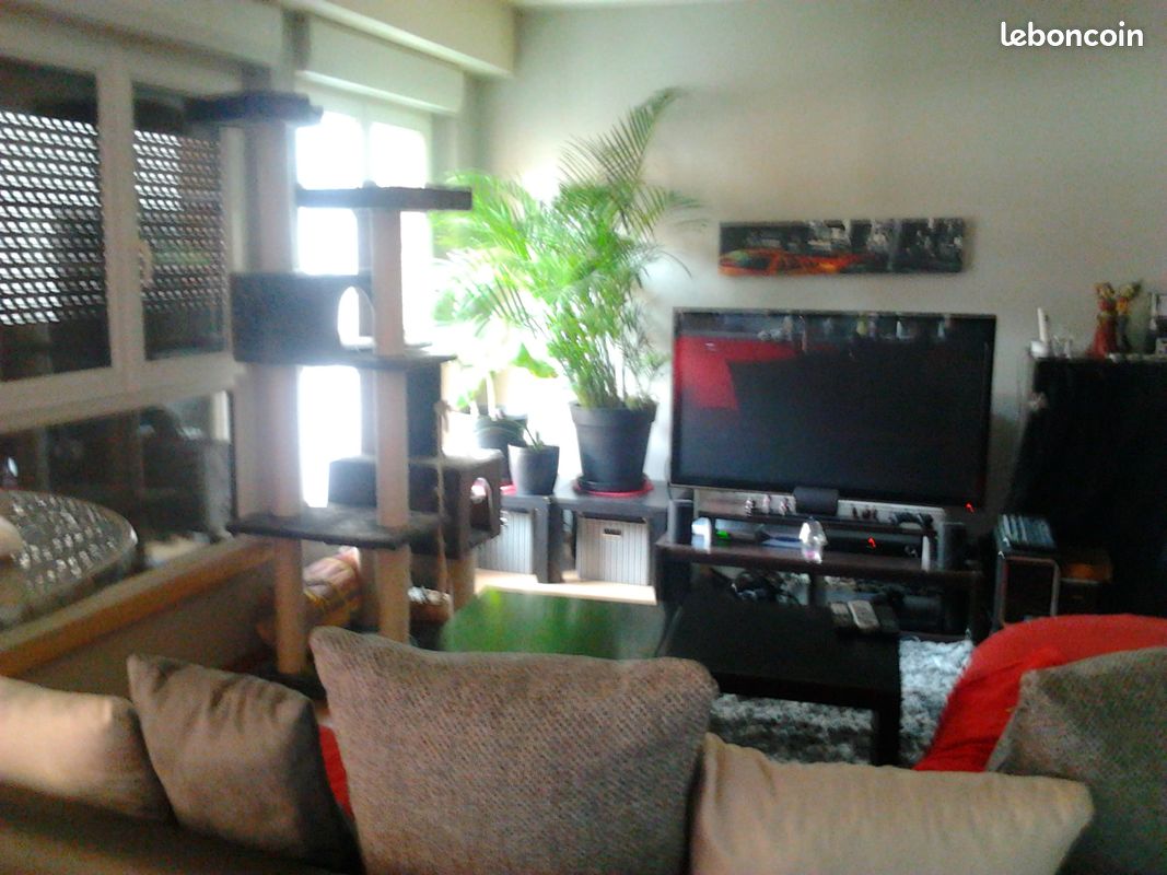 Appartement 1 pièce 30 m² · à Sélestat · 30 m² · 460 €/mois