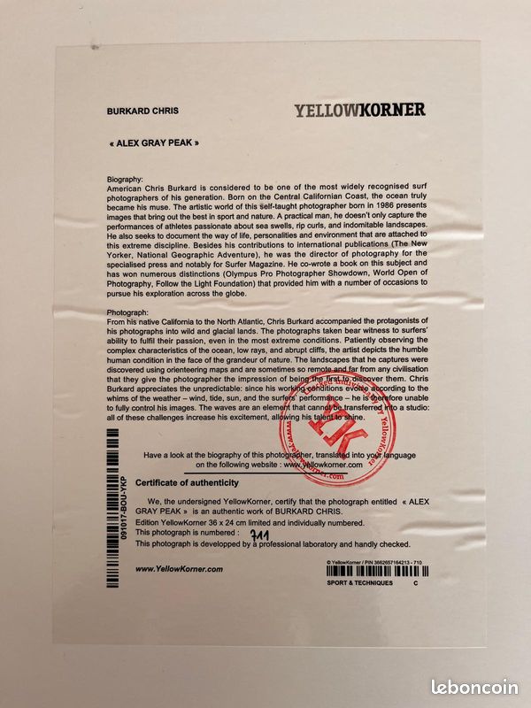 Photographie Yellow Korner (image 5)