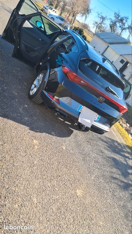 Cupra (image 3)
