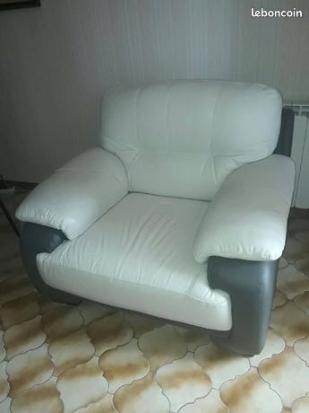 Fauteuil d'occasion Cuir Multicolore Toute la France - leboncoin