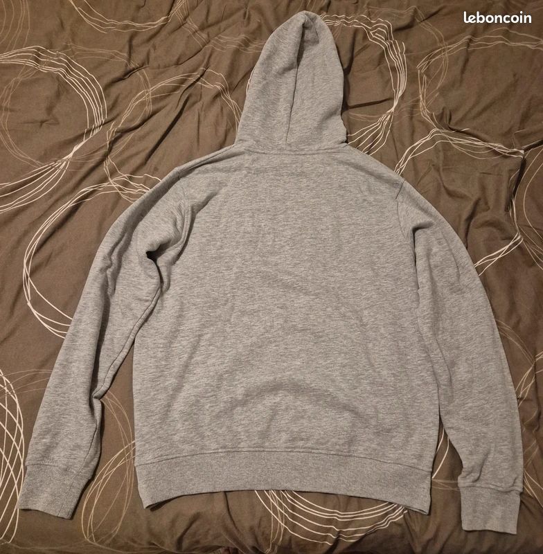 Sweet a capuche Redskins gris (image 2)