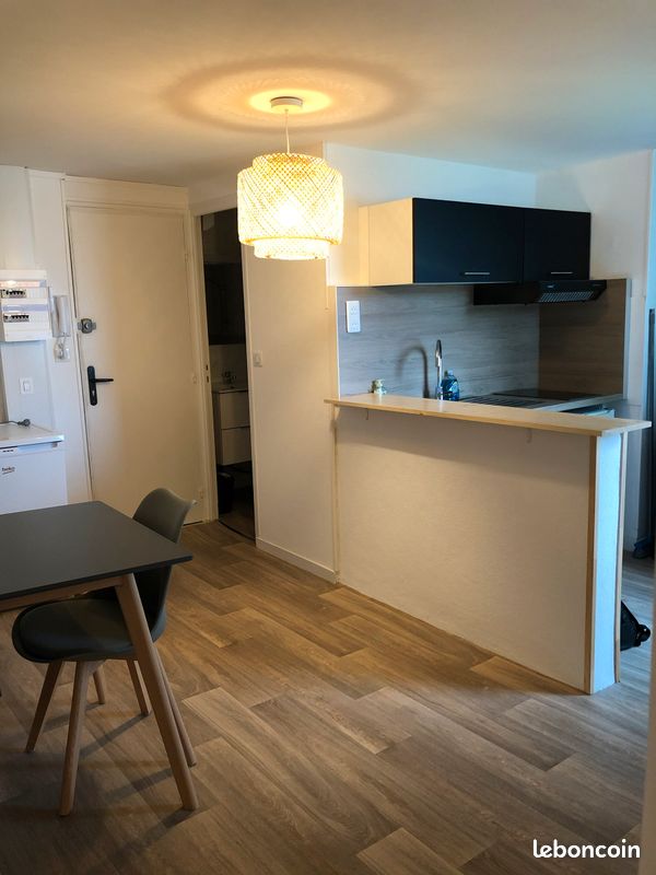 Appartement 2 pièces - Centre Ville - Limoges 87000 Centre-Hôtel de Ville Emailleurs (image principale 1)