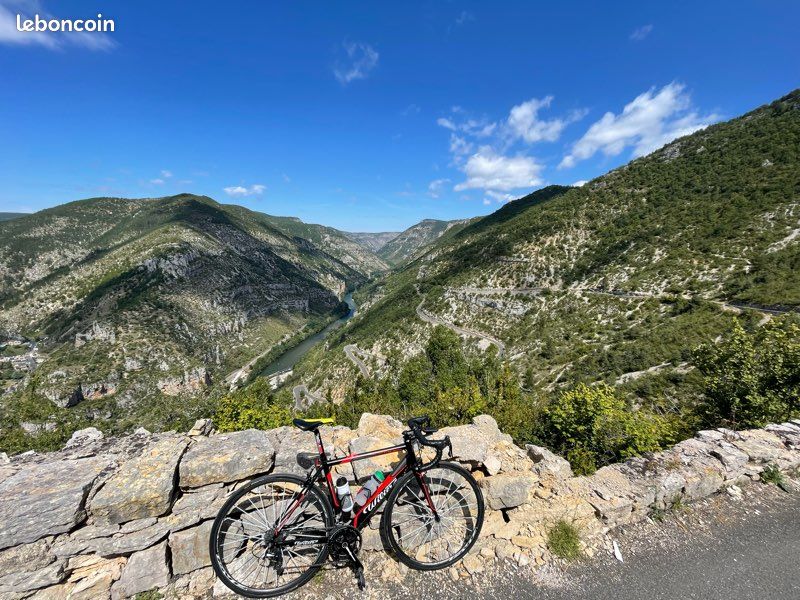 Wilier montegrappa route (image 1)