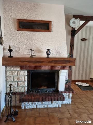 Cheminée insert (image 2)