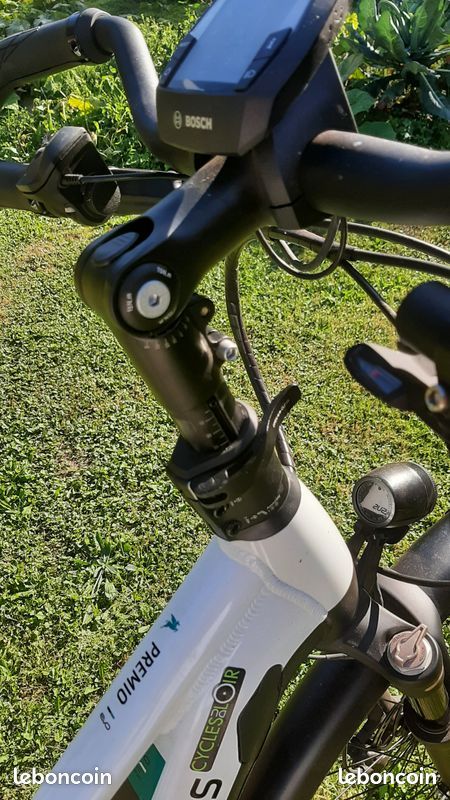Vélo électrique Pégasus (image 1)
