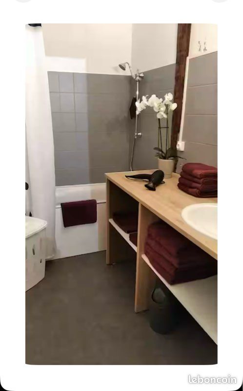 Gîte 6 personnes / Cour-Cheverny (image 7)