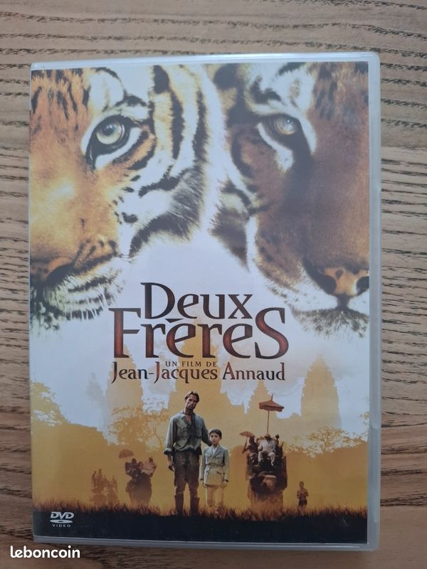 DVD Deux frères (image 1)