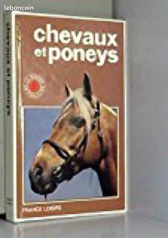 Chevaux et poneys (image 1)