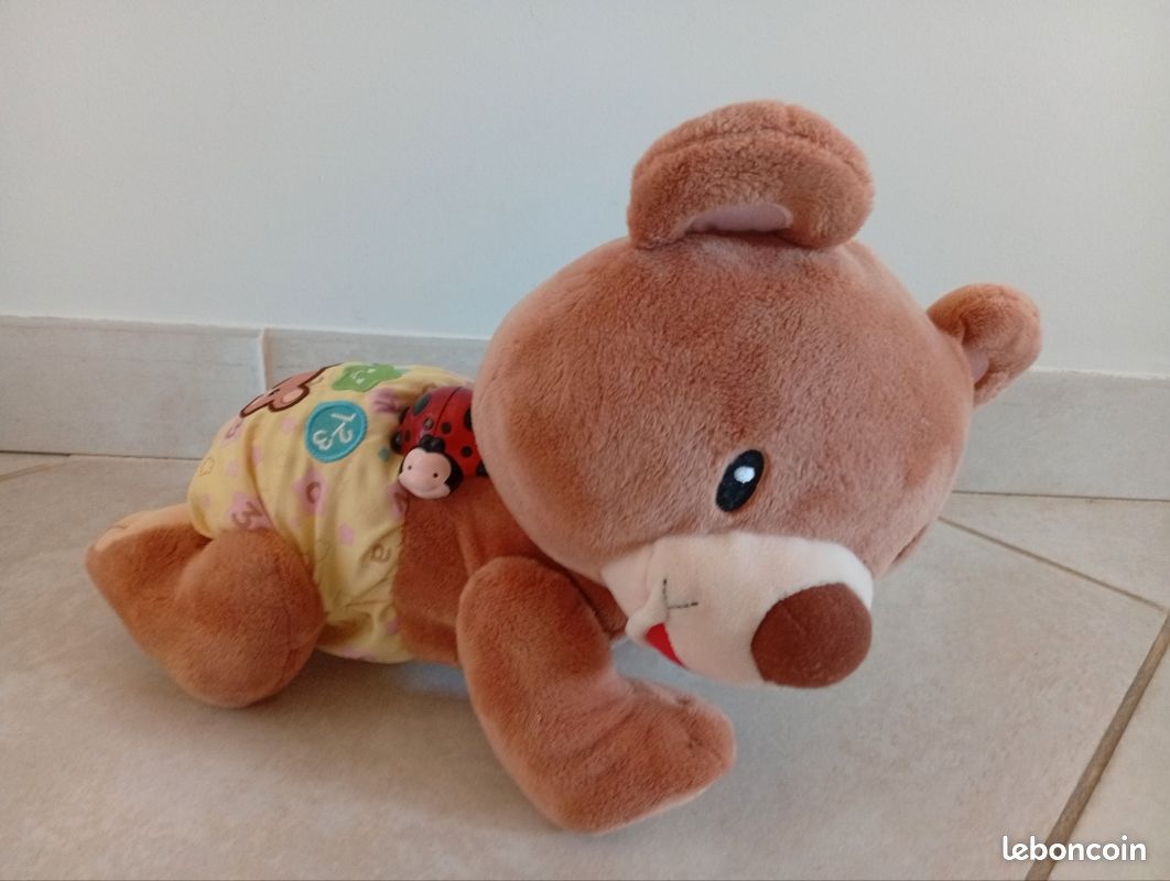 Ourson qui avance (image 1)