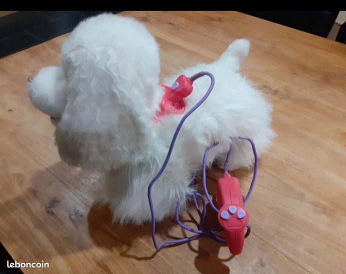Chien qui marche (image 2)