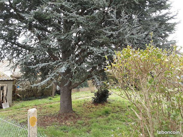 Terrain 276 m² FRENEUSE