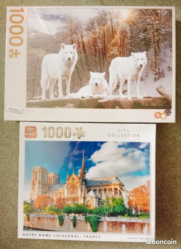 Puzzle 1000 Pièces Milton Bradley 2007 : Sorcière & Corbeau - Charles Wysocki