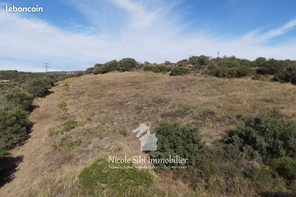 Terrain agricole 15 907 m² Millas · 10 500 €