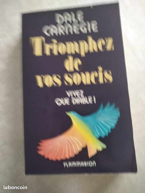Dale Carnegie Triomphez de vos soucis Vivez que diable (image 1)
