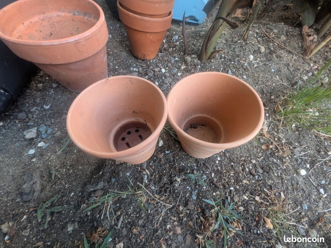 Pot de fleurs (image 2)