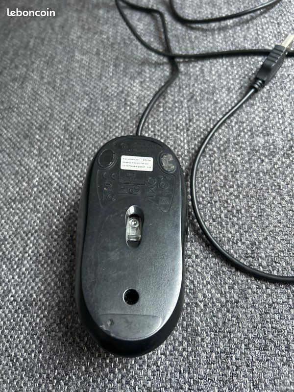 Souris (image 2)