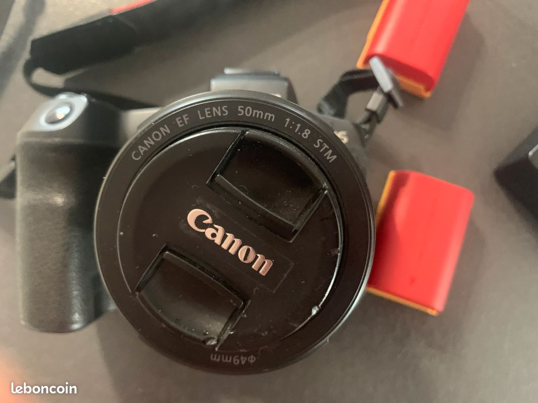 Canon Eos r avec objectif RF 35mm 1.8 macro (image 4)