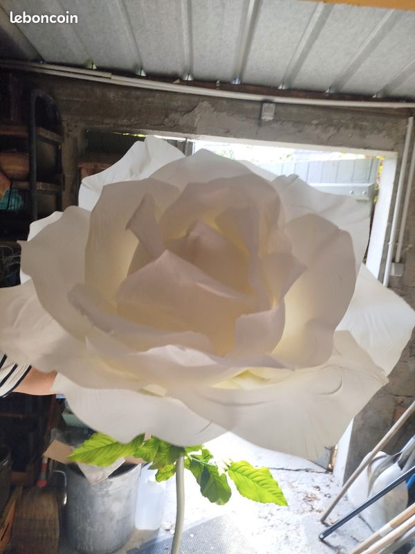 Fleur geante blanche (image 1)
