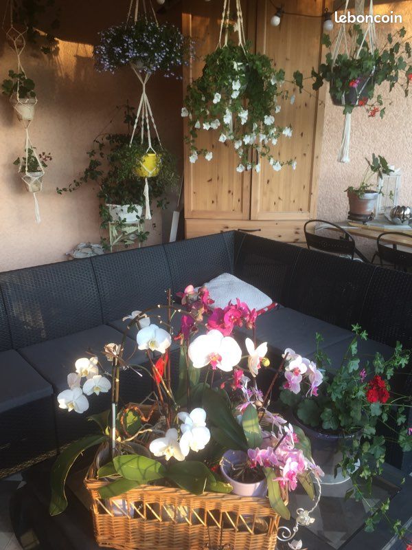 Local commercial 2 pièces 29 m²