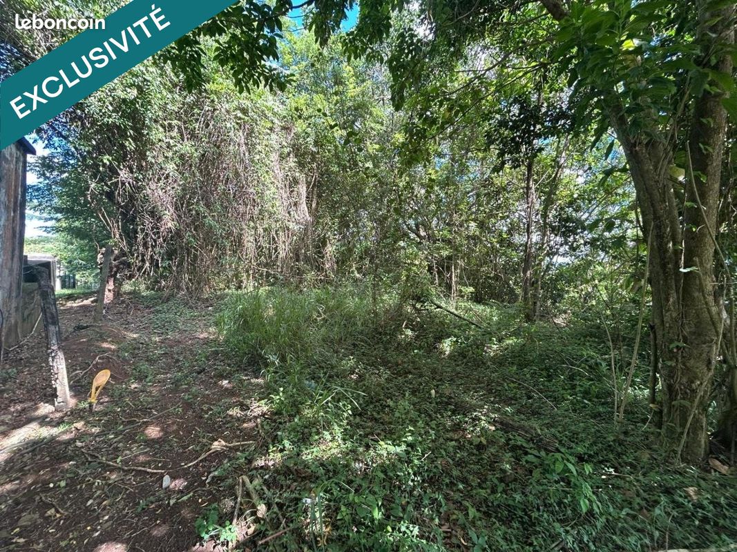 Terrain 2744 m² · à Ducos · 2 744 m² · 215 000 €