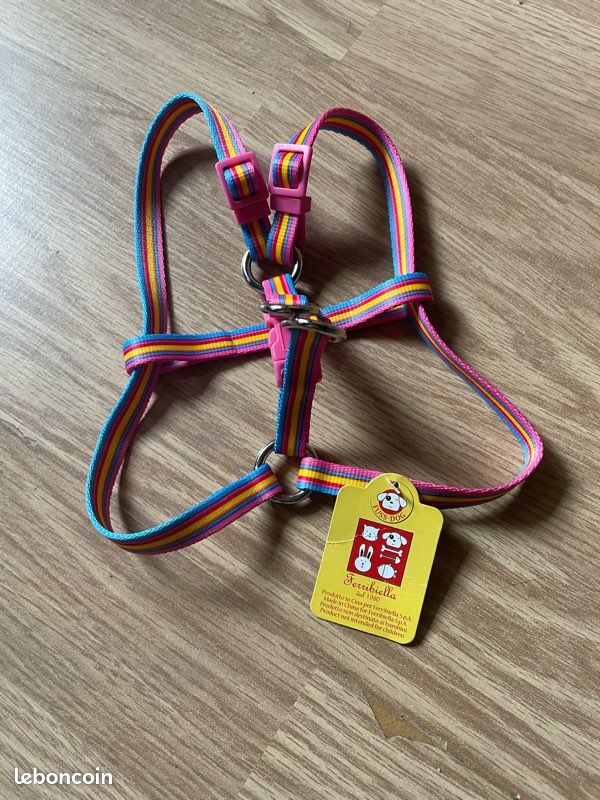 Petit harnais pour chien, taille XS Accessoires animaux