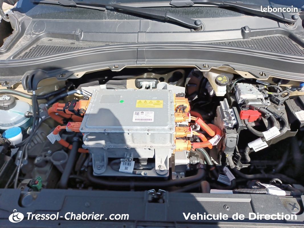 CITROEN e-C3 113 ch autonomie confort You (image 27)
