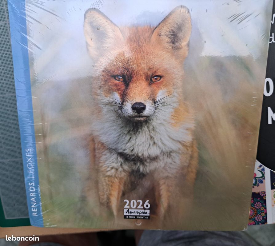 Lot de 5 petits calendriers - Aquarupella - troll69 (image 5)
