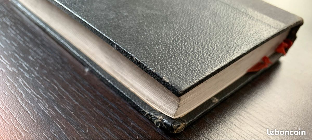Livre religieux catholique de 1866 l’année de Marie (image 3)