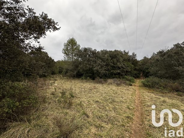 Terrain 3861 m² Bernis