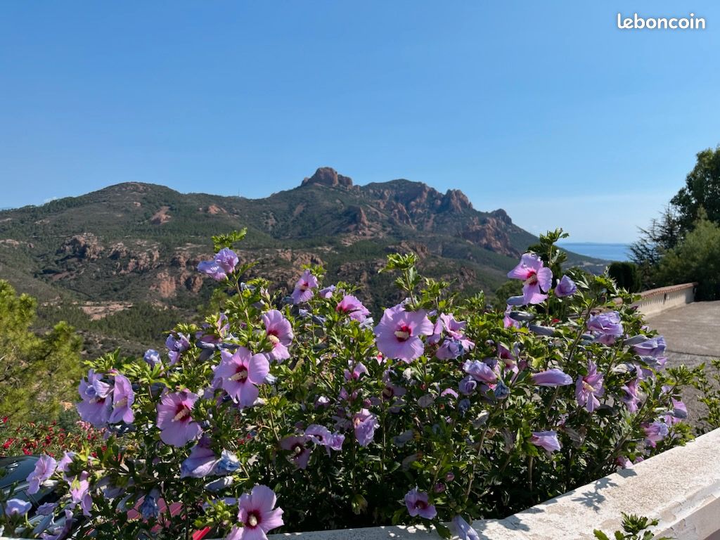 Un paradis entre mer et Esterel (image 6)
