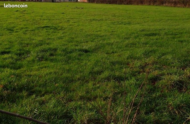 Terrain 905 m² Bosc Mesnil · à Bosc-Mesnil · 29 000 €
