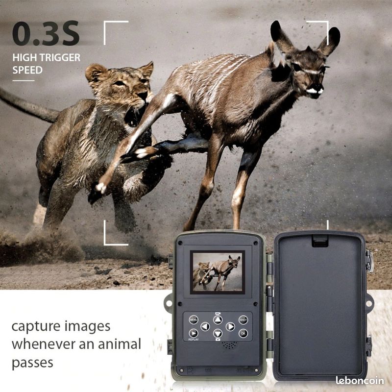 Caméra de chasse 1080P (image 4)