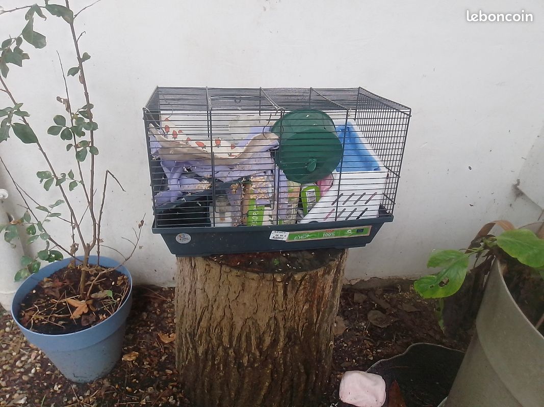 Cage à souris (image 1)