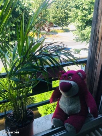 Lotso grande peluche Toy Story Disney 60 cm (image 2)