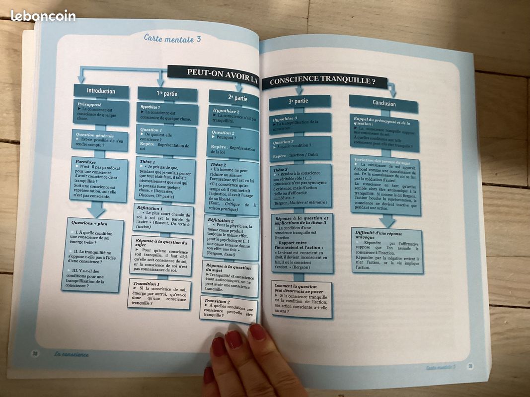 Sujets de dissertations de philo en cartes mentales, terminale (image 5)