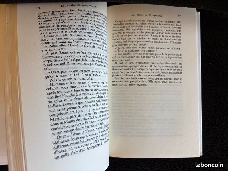 Les Étoiles de Compostelle (image 5)