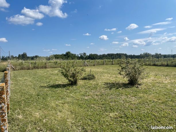 Terrain 800 m² Civrac De Blaye