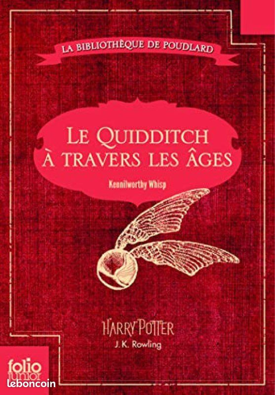 Le quidditch à travers les âges (image 1)