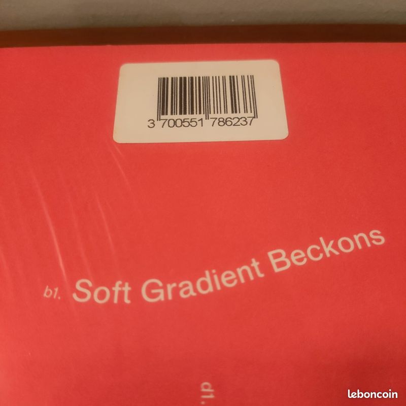 Vinyle Rival Consoles - Landscape From Memory (image 6)