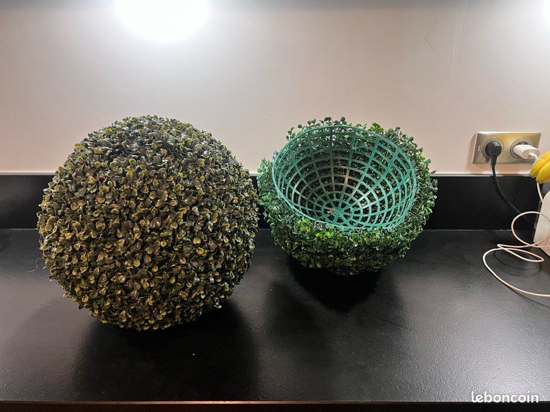 Boules de buis (image 2)