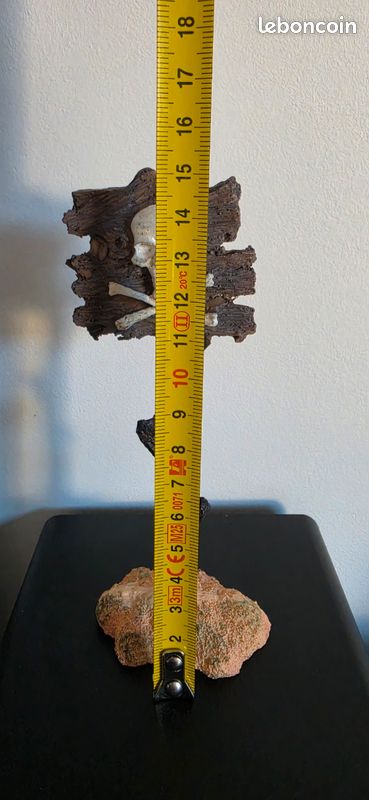 Déco pour aquarium (image 3)