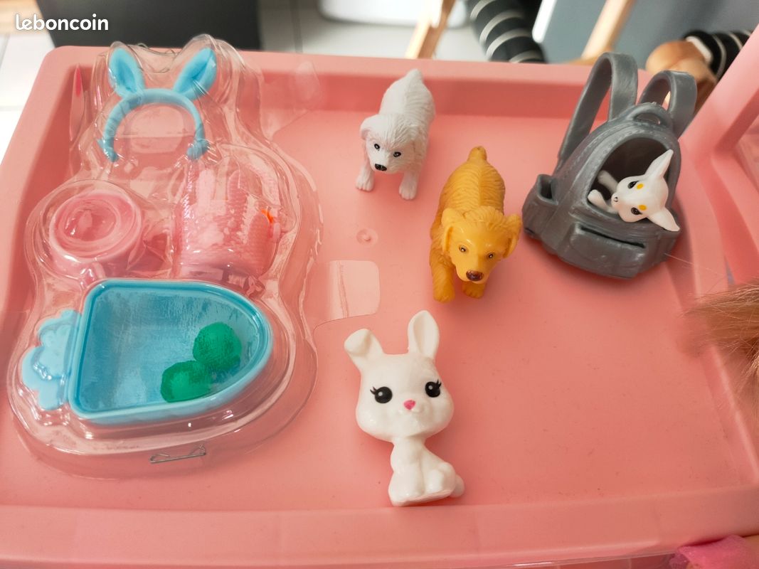 ✨ Lot Barbie de Rêve - Énorme Collection avec Accessoires ✨ (image 7)