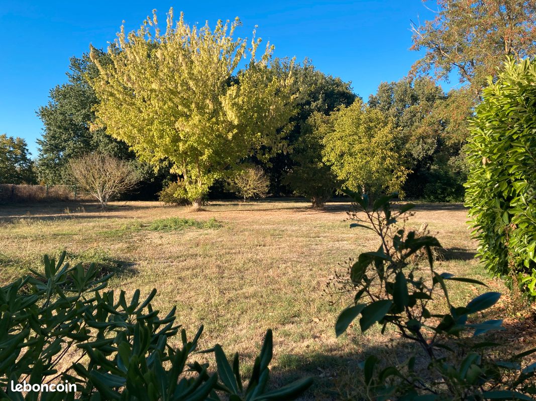 Terrain arboré, constructible Balma · 465 000 €