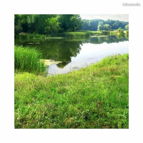 Terrain 4130 m² FLERE LA RIVIERE